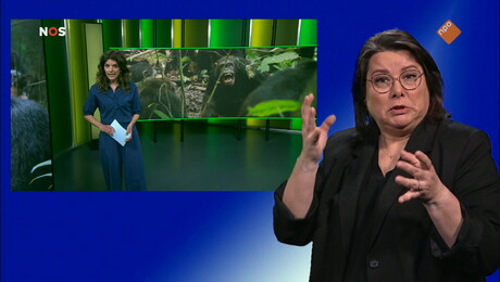 NOS Jeugdjournaal met gebarentaal